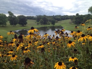 the spectacular view from at a winery in Virginia 